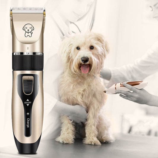 Professional pet Hair removal or Clipper