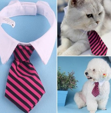 Pet bow tie