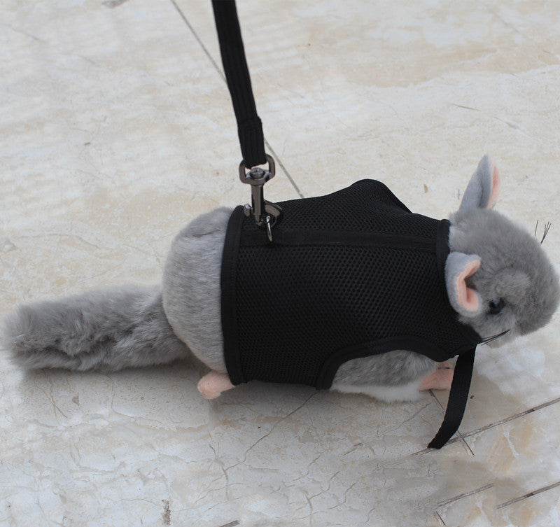 Small pet leash