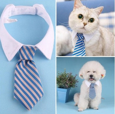 Pet bow tie