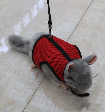 Small pet leash