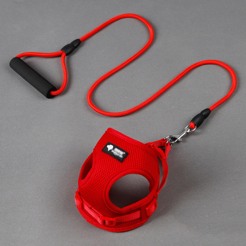 Dog leash dog collar