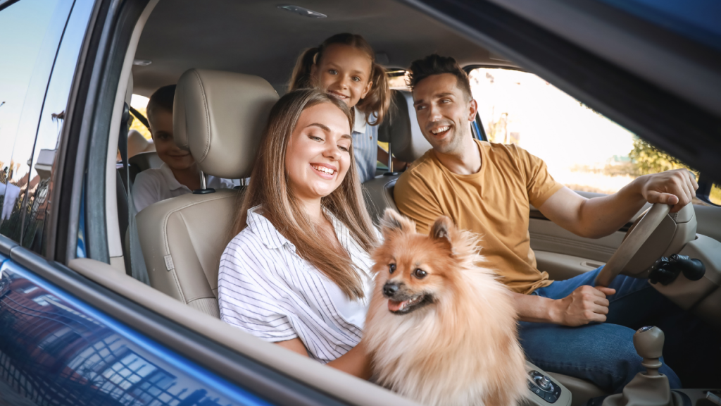 Traveling with pets tips for safe journeys including pet friendly hotels near me, dog boarding near me, hotels accepting pets pet friendly, and tips for flying with pets.