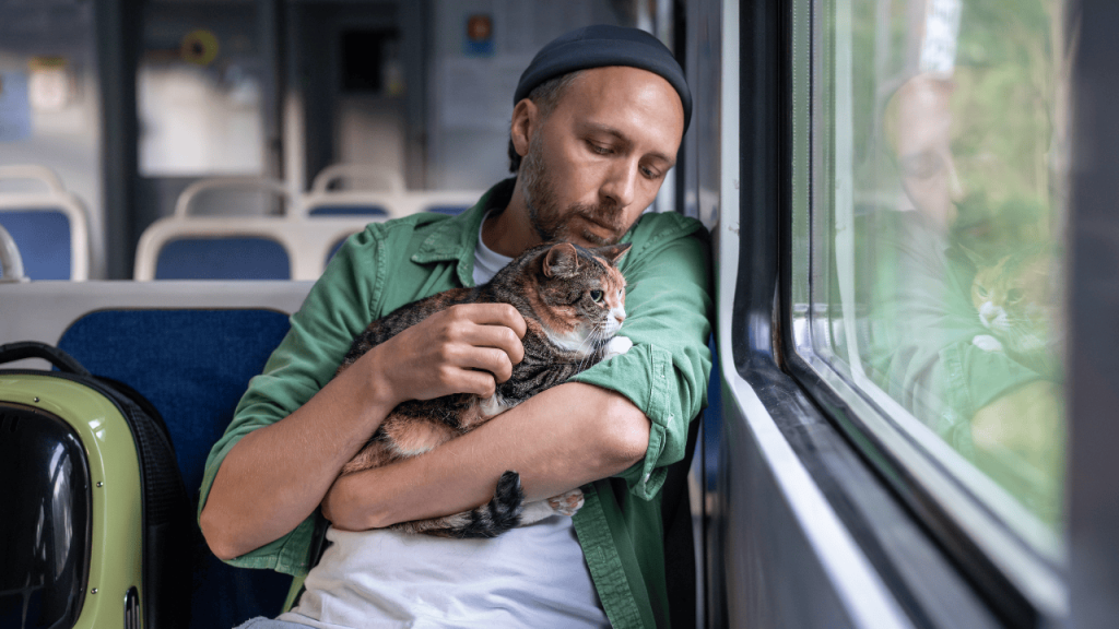 Traveling with pets tips for safe journeys including pet friendly hotels near me, dog boarding near me, hotels accepting pets pet friendly, and tips for flying with pets.