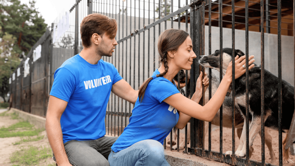 Heartwarming Pet Stories & Experiences showcasing real-life moments of dogs, cats, and other pets filled with love and companionship