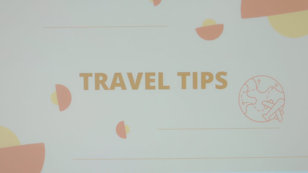 Pet air travel 2025 guide showing a pet in a comfortable carrier with a checklist of airline pet travel requirements, safe pet air travel tips, and preparation for flying with pets.