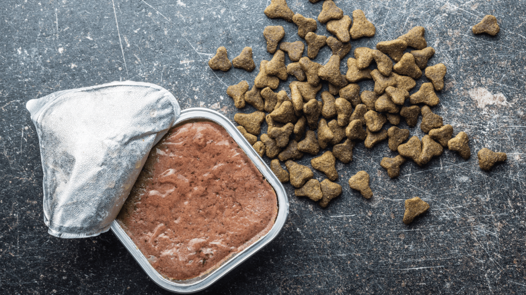 PetCastel pet food – nutritious dry kibble shaped in a paw design with hands around it, symbolizing healthy pet nutrition and care.