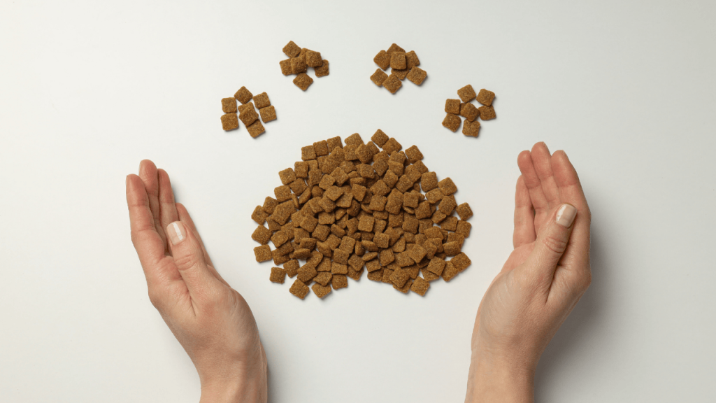 PetCastel pet food – nutritious dry kibble shaped in a paw design with hands around it, symbolizing healthy pet nutrition and care.