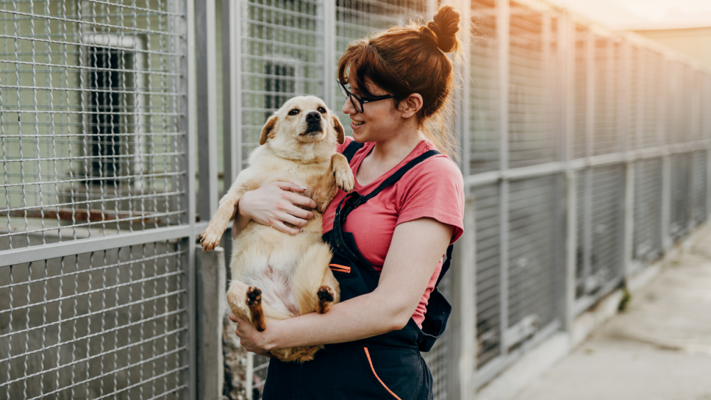 Rescue dog adoption success story – Igor, the viral rescue dog, relaxing at home, showing the joys of adopting a rescue dog.